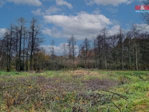 Prodej pozemku pro bydlení, Františkovy Lázně - Žírovice, 1000 m2