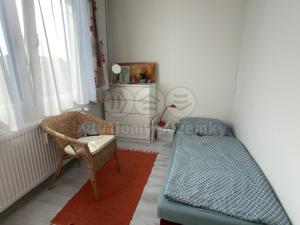 Pronájem bytu 2+kk, Opočno, Severní, 30 m2