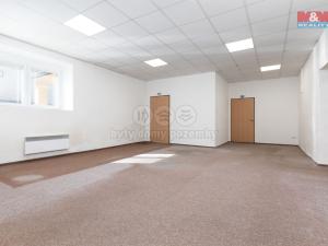 Pronájem výrobních prostor, Šenov, K Insuli, 290 m2