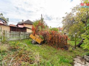 Prodej zemědělské usedlosti, Rovečné - Malé Tresné, 250 m2