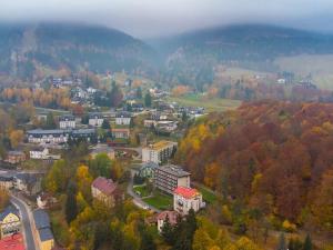 Prodej bytu 2+1, Janské Lázně, Lesní, 79 m2