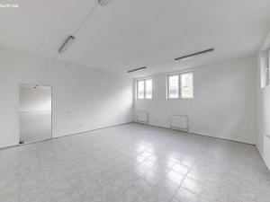 Pronájem výrobních prostor, Praha - Ruzyně, 1000 m2