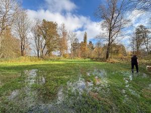 Prodej louky, Janovice nad Úhlavou, 11416 m2