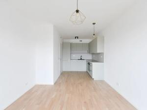 Prodej bytu 2+kk, Praha - Vinohrady, Perucká, 57 m2