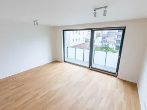 Prodej bytu 1+kk, Praha - Žižkov, Seifertova, 44 m2