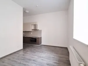 Pronájem bytu 2+kk, Praha - Holešovice, Na Maninách, 53 m2