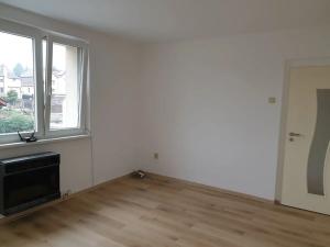 Prodej bytu 1+1, Novosedlice, Drahénská, 28 m2