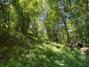 Prodej rodinného domu, Sezemice, 200 m2