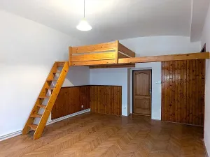 Pronájem bytu 1+1, Teplice, Lípová, 50 m2