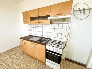 Pronájem bytu 1+1, České Budějovice, J. Plachty, 46 m2