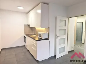 Prodej bytu 2+kk, Kněžmost, Na Mlejnici, 48 m2