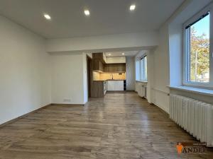 Prodej bytu 2+1, Karviná, Fibichova, 52 m2