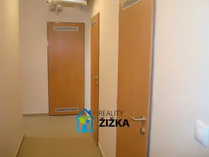 Pronájem bytu 1+kk, Brno, Říčanská, 35 m2