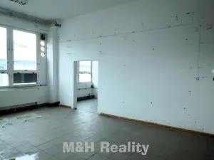 Pronájem výrobních prostor, Frýdlant nad Ostravicí, 100 m2