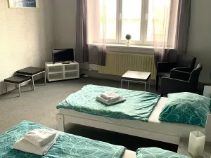 Pronájem apartmánu, Plzeň, Klostermannova, 70 m2