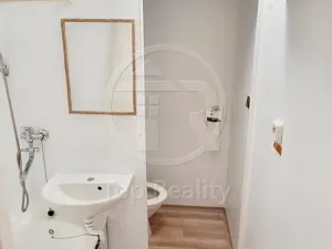 Pronájem bytu 1+1, Nové Sedlo, Sadová, 38 m2