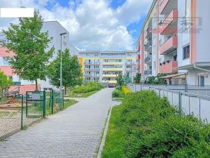 Pronájem bytu 3+kk, Brno, Říčanská, 161 m2