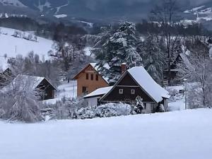 Prodej rodinného domu, Vysoké nad Jizerou, K. Havlíčka Borovského, 164 m2