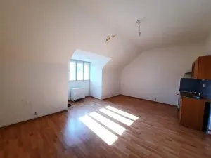 Prodej bytu 1+kk, Praha - Žižkov, Žerotínova, 40 m2