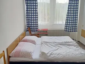 Pronájem bytu 1+kk, Lštění, Míru, 20 m2