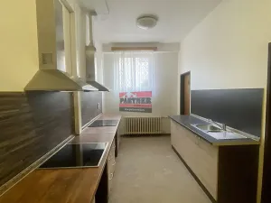 Pronájem bytu 1+kk, Lštění, Míru, 20 m2