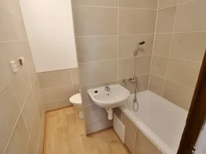 Pronájem bytu 1+kk, Ústí nad Labem, Spartakiádní, 31 m2