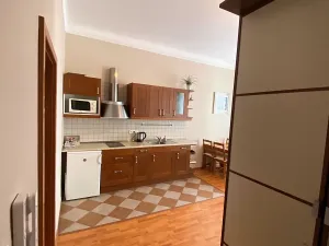 Prodej atypického bytu, Karlovy Vary, Zámecký vrch, 90 m2