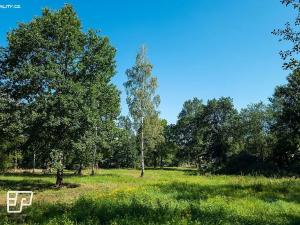 Pronájem komerčního pozemku, Jeníkov, 13072 m2