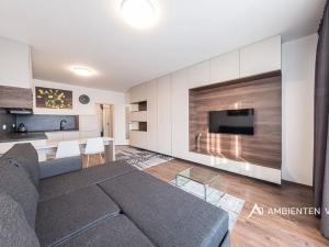 Pronájem bytu 1+kk, Brno, Reissigova, 36 m2