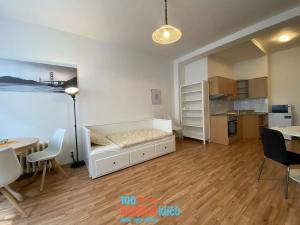 Pronájem bytu 1+kk, Praha - Nové Město, Klimentská, 36 m2