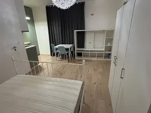 Pronájem bytu 1+kk, Praha - Krč, Budějovická, 30 m2