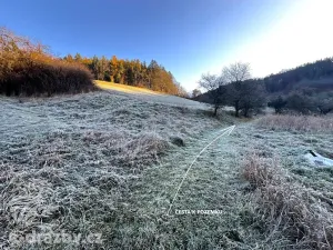 Prodej louky, Bílá, 2467 m2