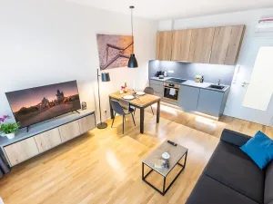 Pronájem bytu 1+kk, Praha - Žižkov, Seifertova, 30 m2