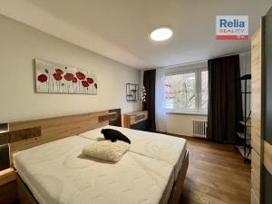 Pronájem bytu 2+kk, Liberec, Mlýnská, 34 m2