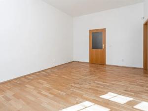 Pronájem bytu 5+kk, Praha - Smíchov, U Plátenice, 226 m2