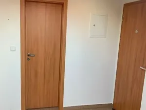 Pronájem bytu 1+kk, Kladno, Čermákova, 30 m2