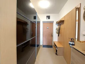 Pronájem bytu 1+kk, Brno, Dusíkova, 47 m2