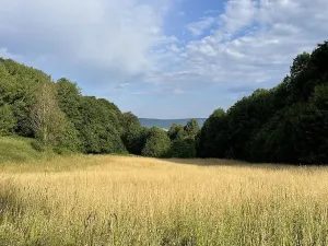 Prodej podílu pozemku, Útěchov, 25072 m2