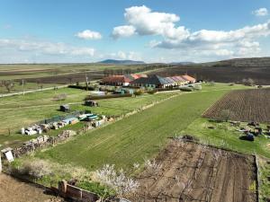 Prodej pozemku, Brod nad Dyjí, 2590 m2