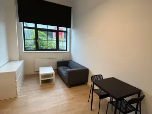 Pronájem bytu 1+kk, Praha - Hloubětín, Poděbradská, 32 m2