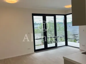 Pronájem bytu 2+kk, Praha - Hodkovičky, Šenácká, 54 m2