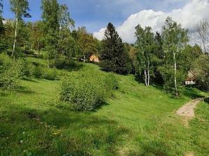 Prodej pozemku, Albrechtice v Jizerských horách, 3386 m2