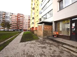 Prodej obchodního prostoru, České Budějovice, V. Volfa, 45 m2