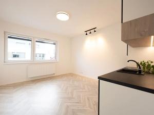 Pronájem bytu 1+kk, Brno, Cejl, 26 m2