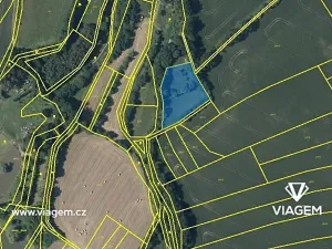 Prodej podílu pole, Bílá Lhota, 599 m2