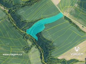 Prodej podílu lesa, Kaceřov, 4818 m2