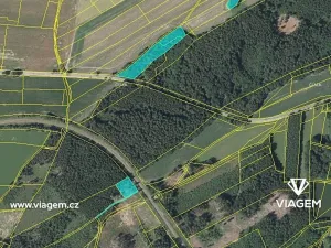 Prodej podílu lesa, Bezděkov pod Třemšínem, 5668 m2