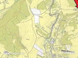 Prodej podílu lesa, Zlatá Olešnice, 242 m2