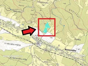 Prodej podílu pozemku pro bydlení, Borovnička, 3072 m2