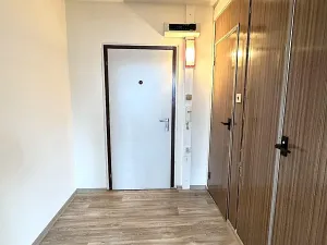 Pronájem bytu 1+kk, Bystřice, Nová, 33 m2